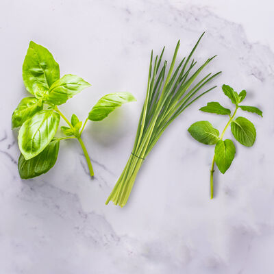 Little Kitchen Academy Students’ Favorite Herbs